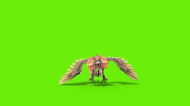 Green Screen Archaeopteryx Attacks Front Dinoasaurs 3D Rendering Animation CGI 4K