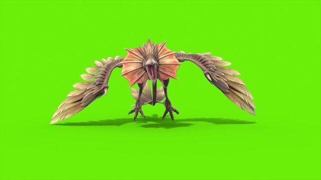 Green Screen Archaeopteryx Attacks Front Close up Dinoasaurs 3D Rendering Animation CGI 4K