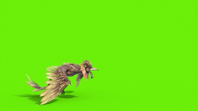Green Screen Archaeopteryx Attacks Side Dinoasaurs 3D Rendering Animation CGI 4K
