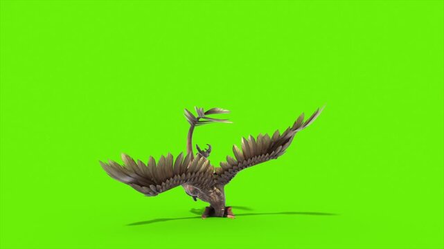 Green Screen Archaeopteryx Die Front Dinoasaurs 3D Rendering Animation CGI 4K