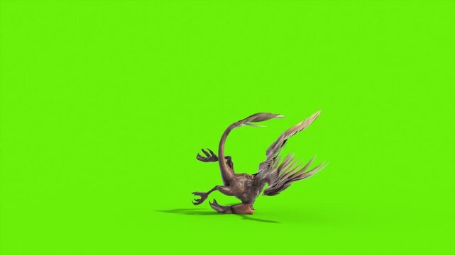 Green Screen Archaeopteryx Die Side Dinoasaurs 3D Rendering Animation CGI 4K