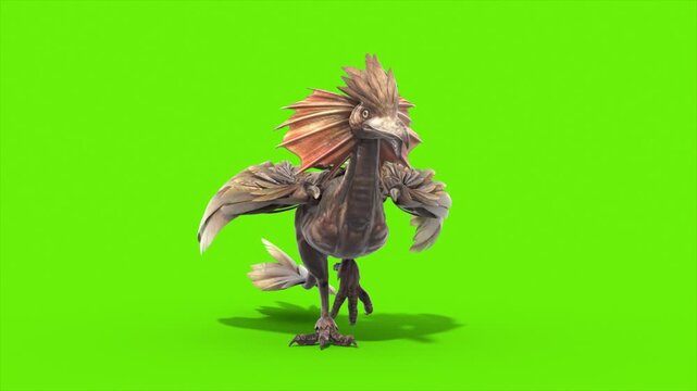 Green Screen Archaeopteryx Walkcycle Front Loop Dinoasaurs 3D Rendering Animation CGI 4K
