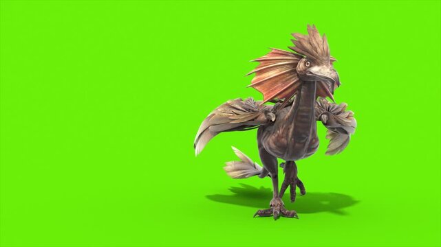 Green Screen Archaeopteryx Walks Front Dinoasaurs 3D Rendering Animation CGI 4K