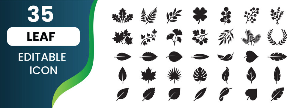 Collection of minimalist black and white leaf icons and botanical foliage shapes for graphic design projects