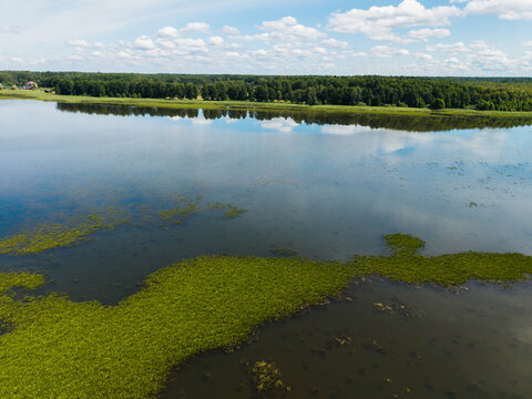 Aerial view of Grutas Park lake surrounded by lush green forests and aquatic vegetation under a bright blue sky in Grutas, Alytus County, Lithuania.