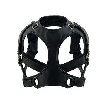 Harness leather accessory featuring dual ring connectors and asymmetrical shoulder strap layout isolated on a transparent background