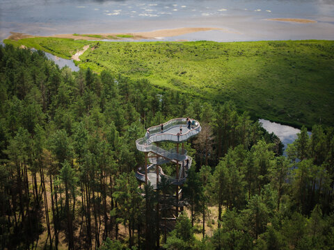Aerial view of the Merkine Observation Tower rising above a dense pine forest with a winding river and lush green meadows in Merkine, Alytus County, Lithuania.