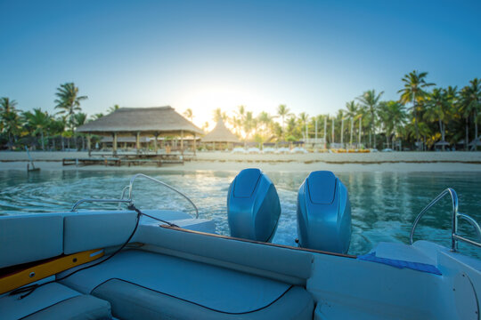 Early Morning Boat Departure for Ocean Wildlife Adventure
