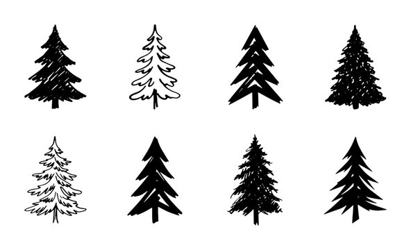 Set of 8 Hand-Drawn Pine Trees, Vector Christmas Evergreen Icons, Forest Silhouette Elements, Winter Nature Graphics