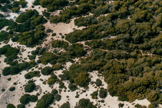 Aerial view of sandy dunes and Mediterranean shrubs covering the landscape of Formentera, Balearic Islands, Spain.