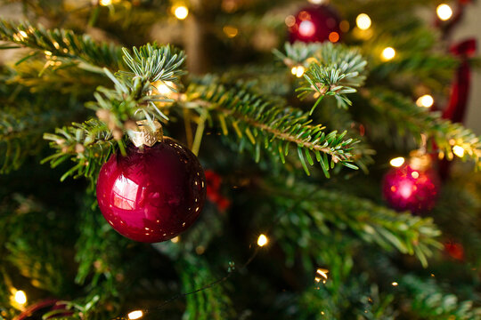 Festive video of a shiny red bauble decorating a green Christmas tree branch with warm shimmering fairy lights and beautiful soft bokeh background.