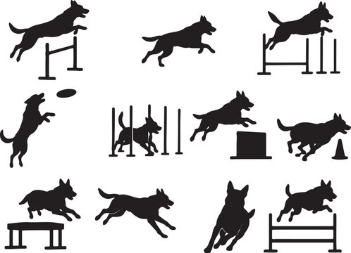 dog agility silhouettes set canine sports obstacle training vector illustration