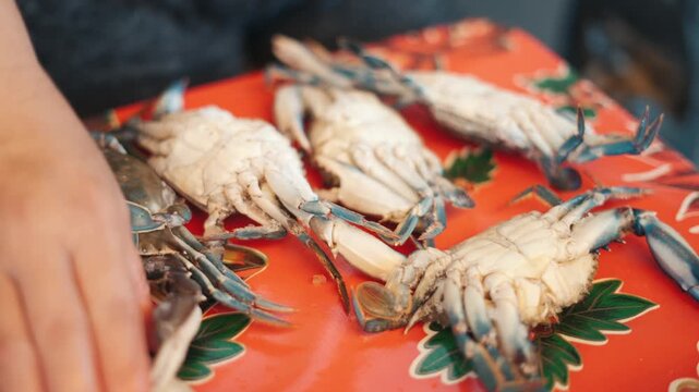Close up of a woman's hands sorting live blue crabs on a red tray before cooking a seafood dish