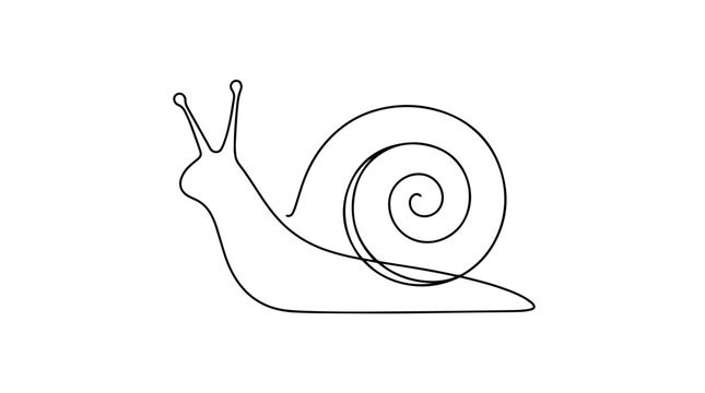 Continuous line drawing of a snail. Slow metabolism and weight loss concept. Minimalist vector illustration