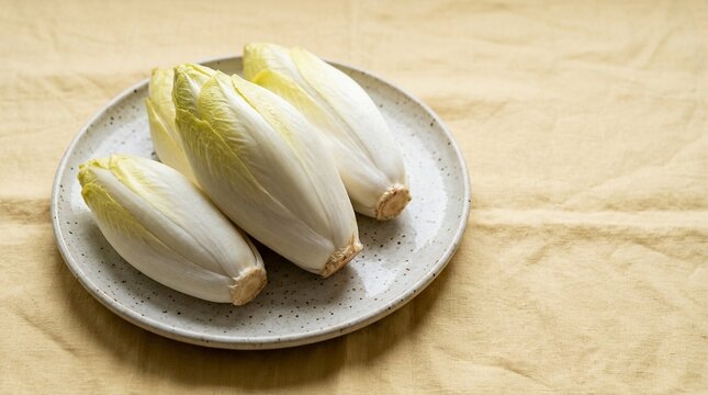 Fresh Belgian Endive on a Plate
