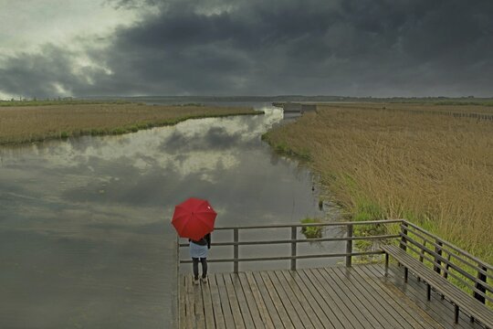 Woman with red umbrella, Federsee lake, nature reserve, district of Biberach, Upper Swabia, Baden-W&uuml;rttemberg, Germany