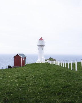 Akraberg Lighthouse with red hut and sheep, Sumba, Suduroy, Faroern Islands