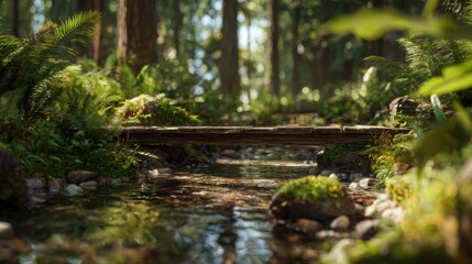 Fototapeta premium rustic wooden bridge crossing a crystal clear forest stream, moss covered stones, lush green ferns and wild plants on both sides, sunlight filtering