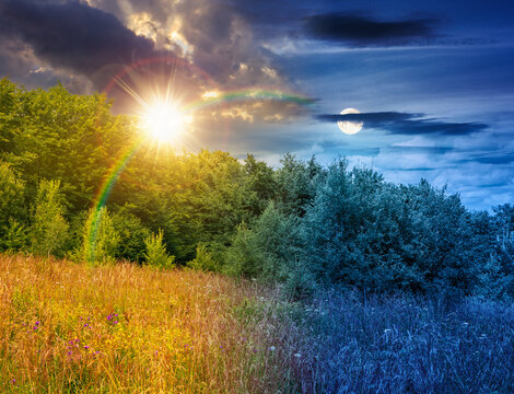 deciduous beech forest near meadow under dramatic sky. nature scenery with tall grass near forest at twilight. carpathian beech forest of ukraine. wild field with grass and herbs. summer solstice
