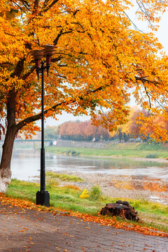 street on the river shore in autumn. uzhhorod city with in fall season. reflection on the water. linden trees and lantern