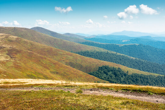 carpathian mountain landscape in late summer. scenic alps of ukraine in the afternoon. background image for hiking through borzhava ridge