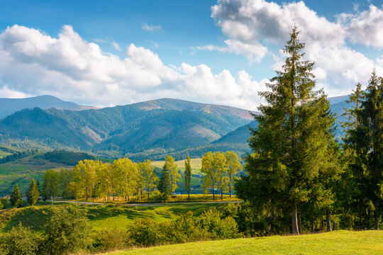 countryside mountain landscape in autumn. scenic rural area of ukraine in fall season. mountain path to volovets town in the valley. sunny afternoon
