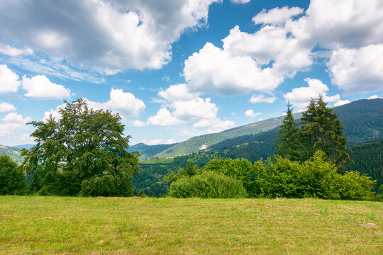 countryside mountain landscape of ukraine. rural fields and forested hills on a sunny day. remote place of mizhhirya district in transcarpathia for summer vacations
