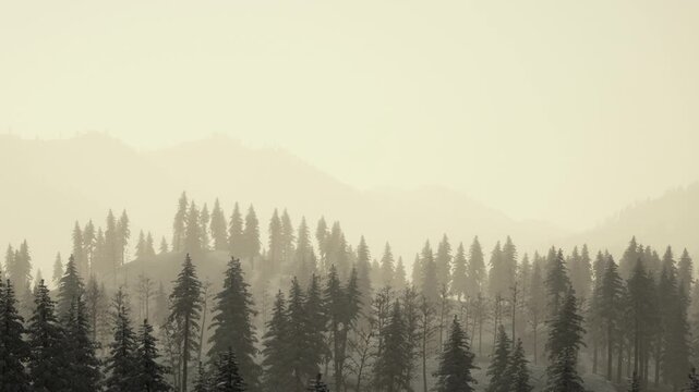 Tall trees covered in snow are seen against a gray sky. This winter scene shows layers of mountains in the background. The atmosphere is quiet and cold, typical of a winter day.