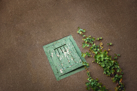Vegetation is encroaching on the crumbling facade of the squat