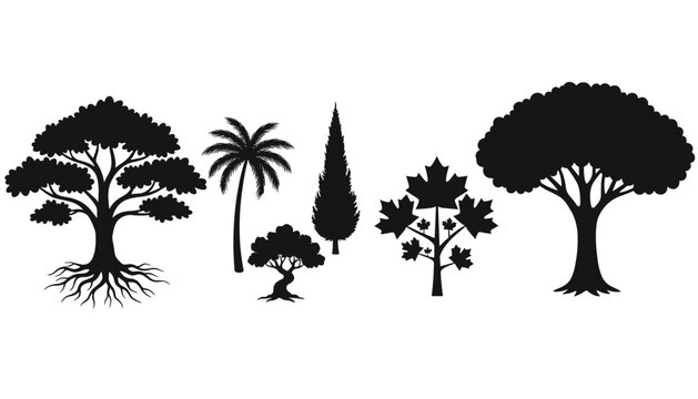 Collection of six different tree silhouettes, including a palm, cypress, oak, and maple, on a clean white background.