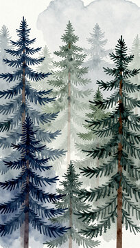 Watercolor forest scene with tall, misty pine trees.