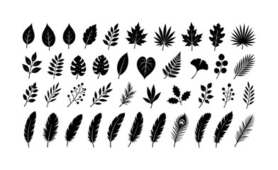 Obraz premium Collection of black silhouette leaves and feathers on a white background