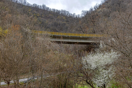 Elevated Road Concrete Bridge in East Serbia Spring Day
