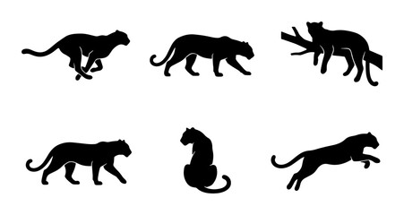 Obraz premium Six Silhouette Big Cat Vector Icons, Panther and Leopard Poses, Wild Animal Graphic Set, Black Feline Wildlife Collection