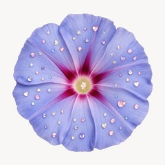 Fototapeta premium Lavender flower with sparkling heart and star embellishments