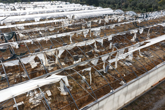Aerial view of damaged greenhouses with torn plastic sheeting and exposed metal frames in a rural agricultural area of Portugal.