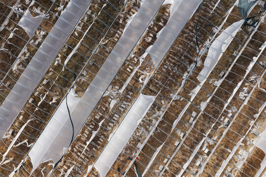 Aerial view of a damaged greenhouse with torn plastic sheeting over dry agricultural land in Portugal.