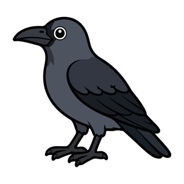 Cute dark grey crow bird vector illustration for wildlife animal and cartoon avian character