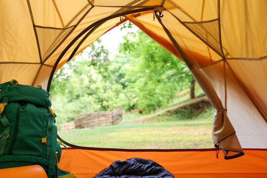 View from inside tent on beautiful forest