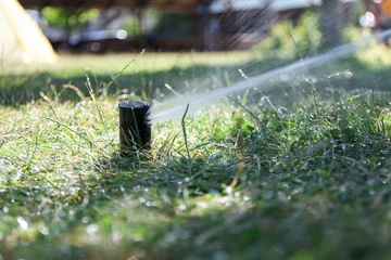 Fotobehang Olijf Sprinkler spraying water outdoors on summer day, closeup. Irrigation system  © New Africa