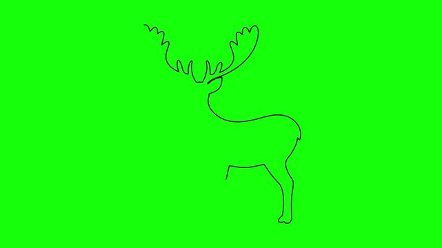 Deer silhouette animation with line drawing motion on green background for nature wildlife projects.