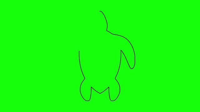 Minimalist line drawing animation of sea turtle shape appearing on solid green screen background clip.