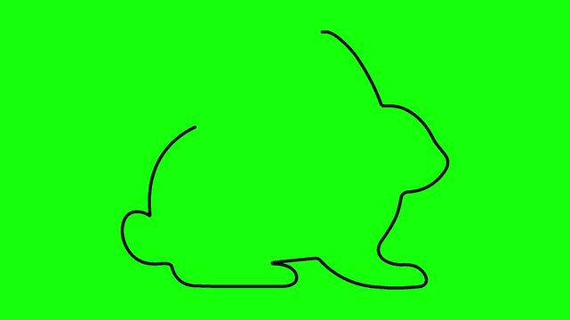 Minimalist rabbit silhouette line drawing animation appearing on green screen background for design.