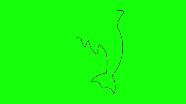 Dolphin outline drawing animation self drawing stroke effect showing marine mammal silhouette graphic.