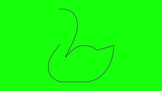 Swan silhouette self drawing animation isolated on green screen background for creative design projects.