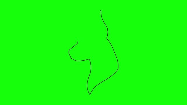 Minimalist continuous line art of a doberman dog head profile on bright green chroma key background.