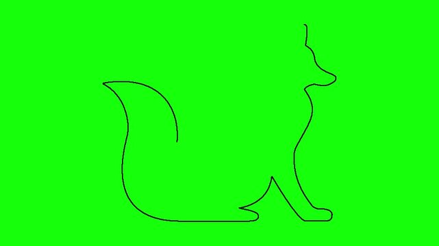 Minimalist continuous line art animation of fox silhouette isolated on bright green chroma key screen.