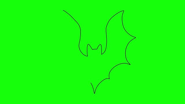 Continuous line drawing of flying bat silhouette against solid green screen background motion graphic.