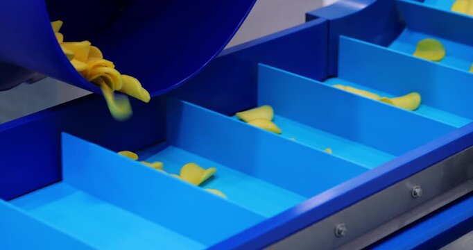 Rotating drum drops potato chips into blue conveyor compartments. Automated dosing system portions snack pieces for controlled transport through factory line