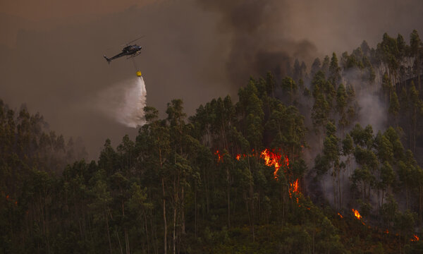 Arouca, Portugal - 20 August 2026: View of a helicopter dropping water on a forest fire in the hills of Arouca, Aveiro District, Portugal.